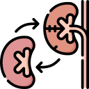 Organ Transplant