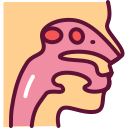 ENT